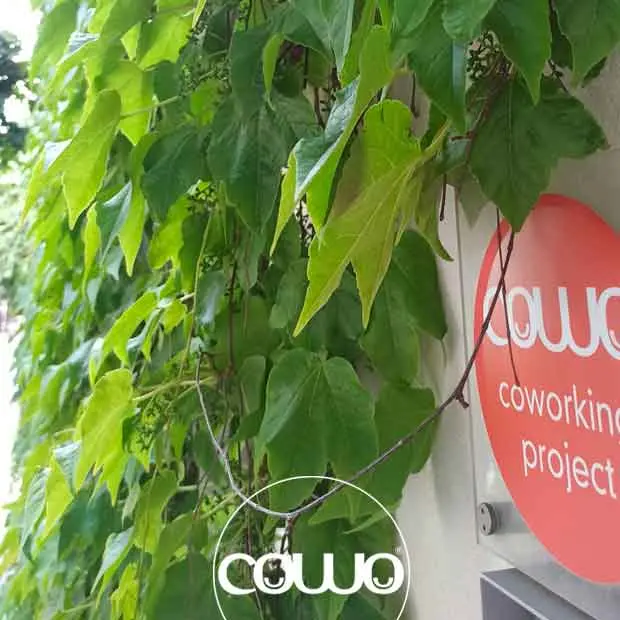 26616_coworking-sovico-new1