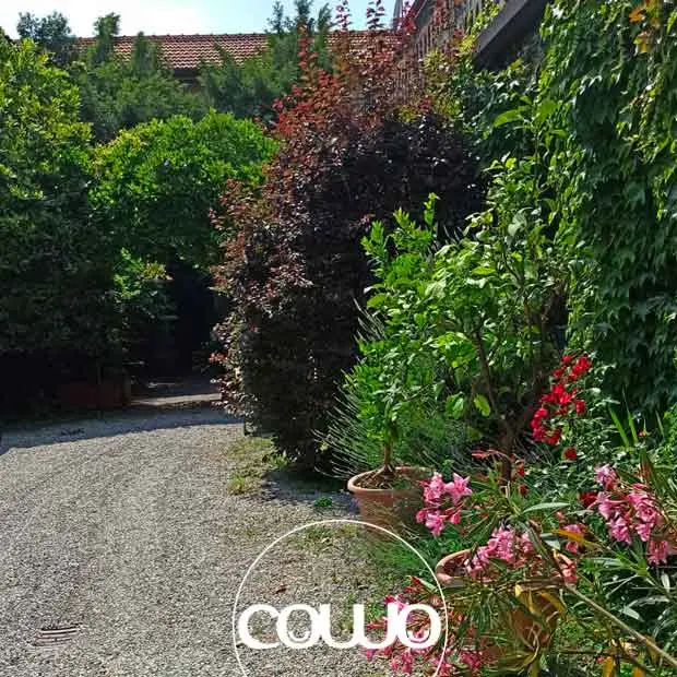 26616_coworking-sovico-new5